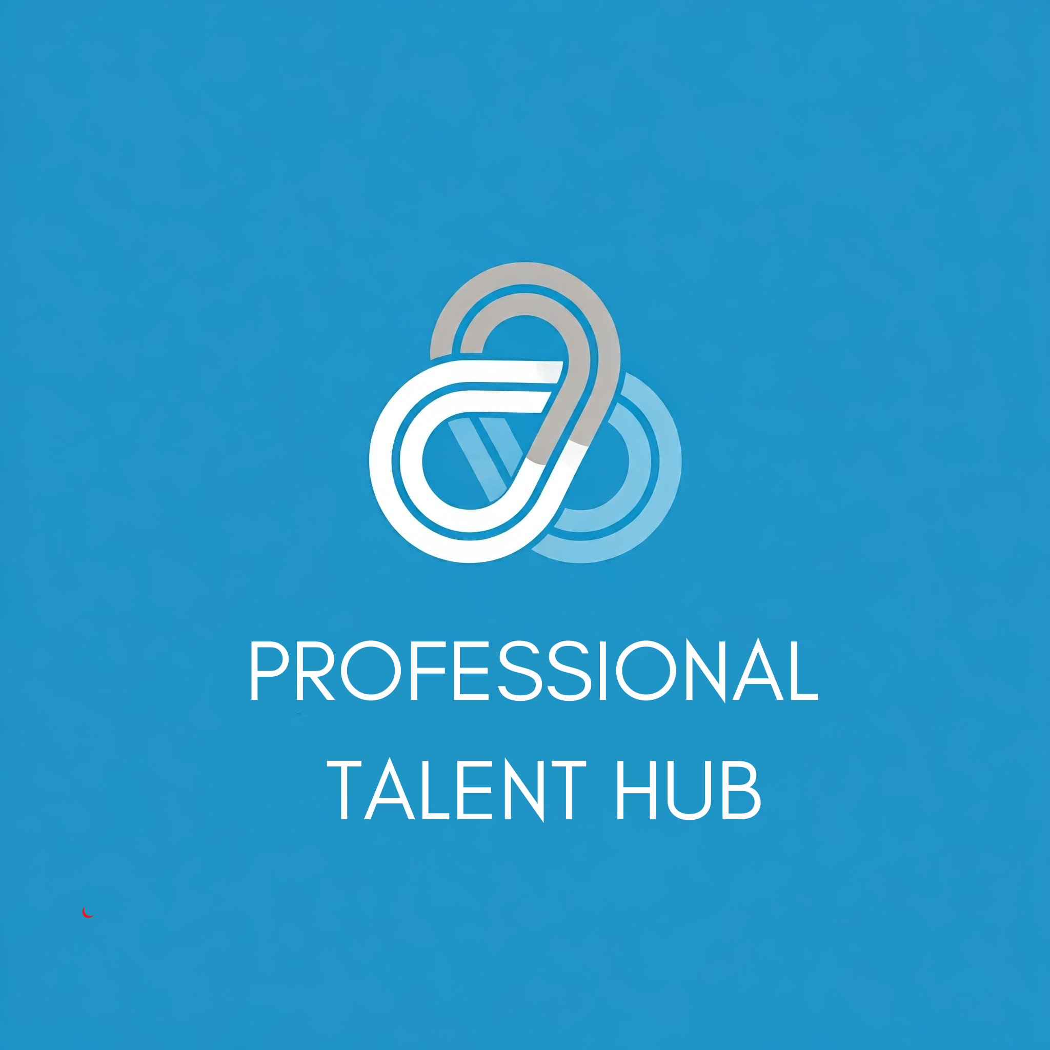PTH Professional Talent HUB